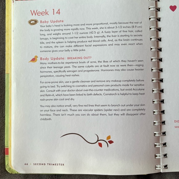 Pregnancy Journal - Picture 4 of 7